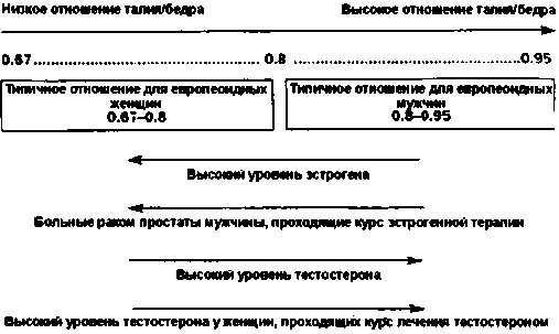 Иллюстрация к книге — Тайны пола. Мужчина и женщина в зеркале эволюции [i_046.jpg]