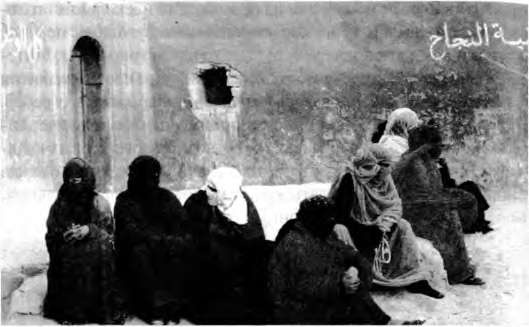 Иллюстрация к книге — Тайны пола. Мужчина и женщина в зеркале эволюции [i_050.jpg]