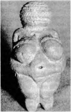 Иллюстрация к книге — Тайны пола. Мужчина и женщина в зеркале эволюции [i_054.jpg]