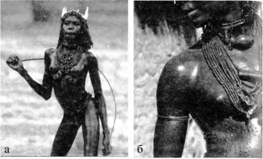 Иллюстрация к книге — Тайны пола. Мужчина и женщина в зеркале эволюции [i_065.jpg]