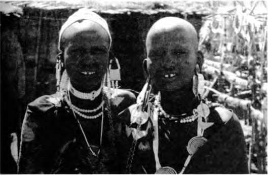 Иллюстрация к книге — Тайны пола. Мужчина и женщина в зеркале эволюции [i_066.jpg]