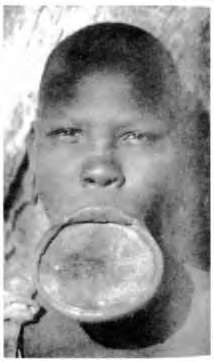 Иллюстрация к книге — Тайны пола. Мужчина и женщина в зеркале эволюции [i_069.jpg]