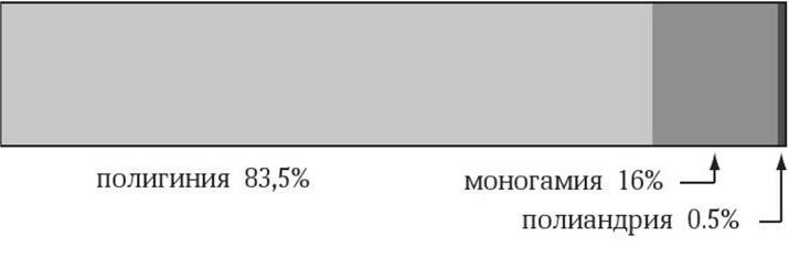 Иллюстрация к книге — Антропология пола [i_023.jpg]