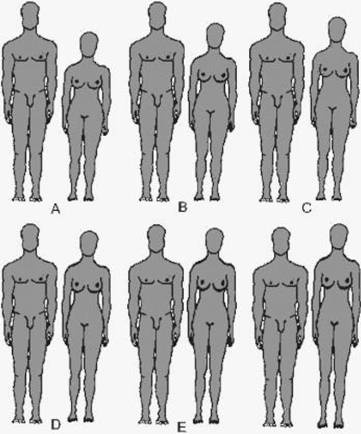 Иллюстрация к книге — Антропология пола [i_038.jpg]