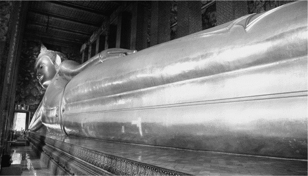 Иллюстрация к книге — Искусство лежать. Руководство по горизонтальному образу жизни [_39.jpg]