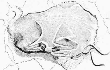 Иллюстрация к книге — Восхождение человечества [i_007.jpg]