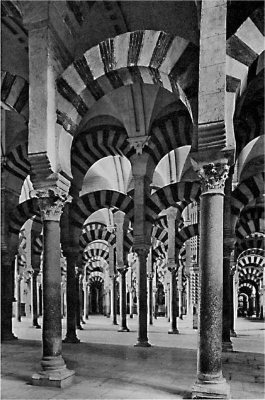 Иллюстрация к книге — Восхождение человечества [i_013.jpg]