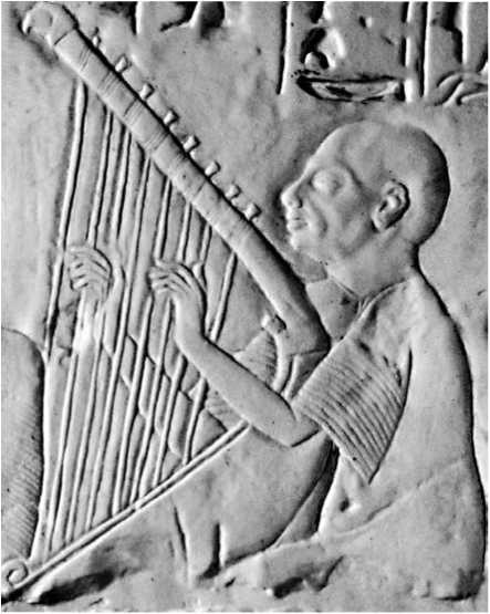 Иллюстрация к книге — Восхождение человечества [i_021.jpg]