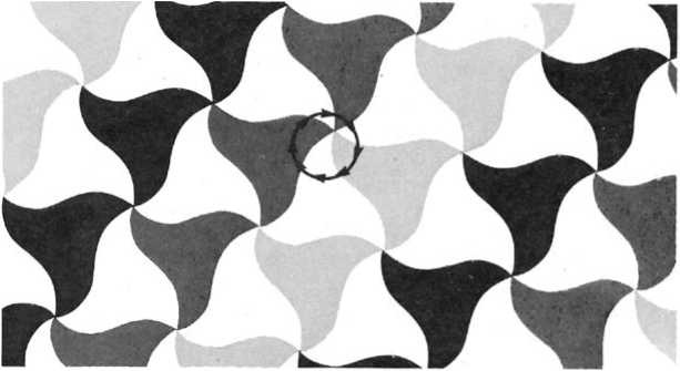 Иллюстрация к книге — Восхождение человечества [i_024.jpg]