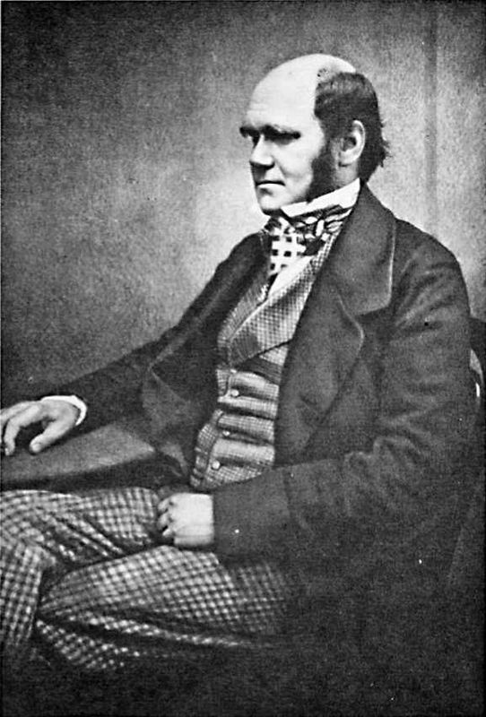 Иллюстрация к книге — Восхождение человечества [i_032.jpg]