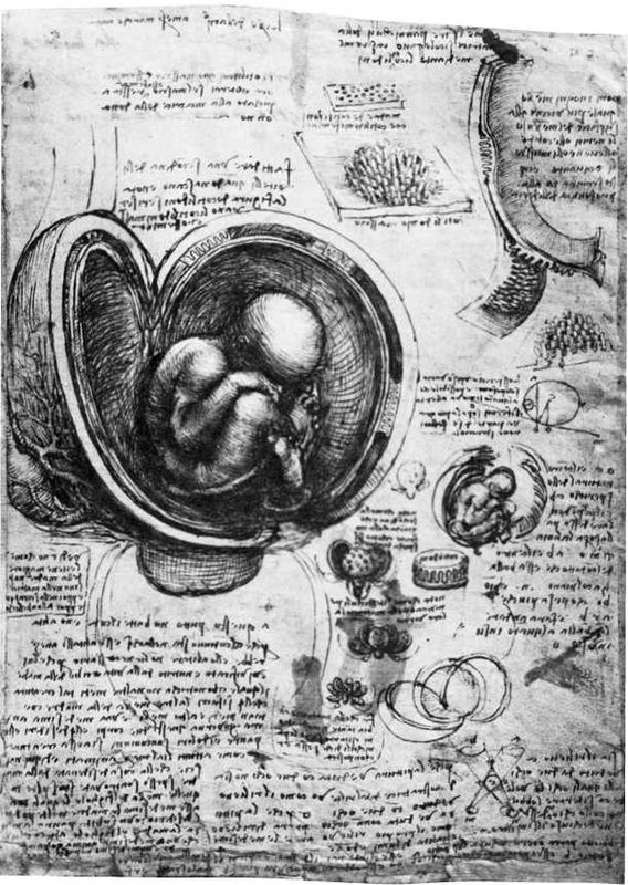 Иллюстрация к книге — Восхождение человечества [i_048.jpg]