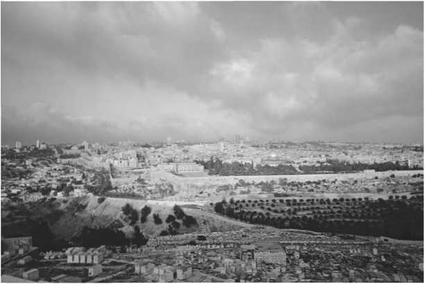 Иллюстрация к книге — Восхождение человечества [i_051.jpg]