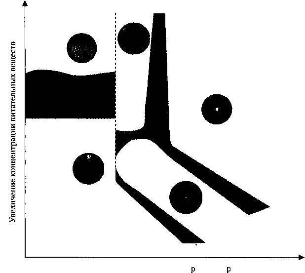 Иллюстрация к книге — Критическая масса. Как одни явления порождают другие [img_14.jpg]