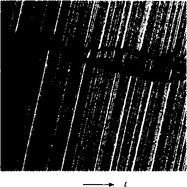 Иллюстрация к книге — Критическая масса. Как одни явления порождают другие [img_33.jpg]