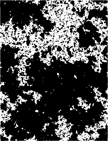 Иллюстрация к книге — Критическая масса. Как одни явления порождают другие [img_43.jpg]