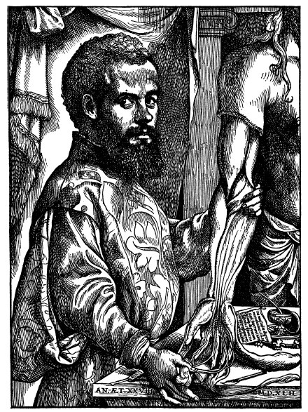 Иллюстрация к книге — Наука Ренессанса. Триумфальные открытия и достижения естествознания времен Парацельса и Галилея. 1450–1630 [i_011.jpg]