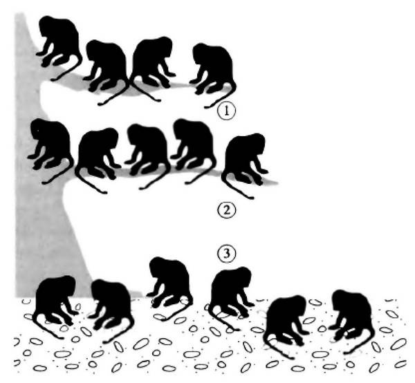 Иллюстрация к книге — История лазера [i_058.jpg]