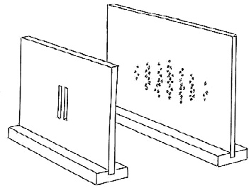 Иллюстрация к книге — Биоцентризм. Как жизнь создает Вселенную [_2.jpg]
