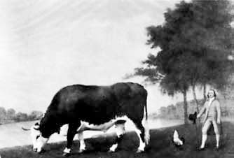 Иллюстрация к книге — Искусство видеть [i_127.jpg]