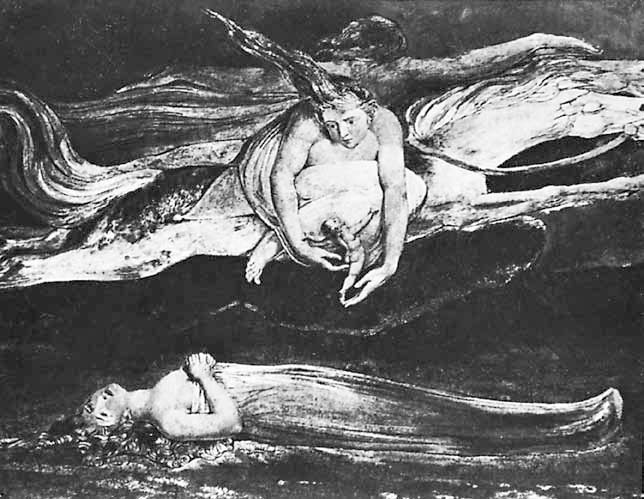 Иллюстрация к книге — Искусство видеть [i_147.jpg]