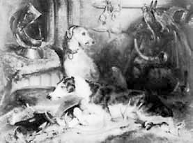 Иллюстрация к книге — Искусство видеть [i_163.jpg]