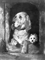 Иллюстрация к книге — Искусство видеть [i_165.jpg]