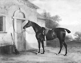 Иллюстрация к книге — Искусство видеть [i_170.jpg]