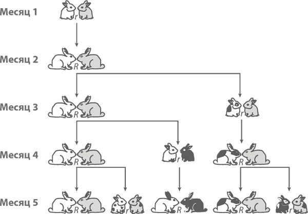Иллюстрация к книге — Магия математики. Как найти x и зачем это нужно [i_180.jpg]