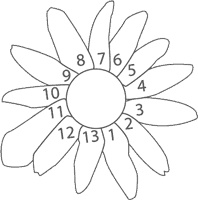 Иллюстрация к книге — Магия математики. Как найти x и зачем это нужно [i_182.jpg]