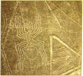 Иллюстрация к книге — Пустыня Наска. Следы иного разума [i_003.jpg]