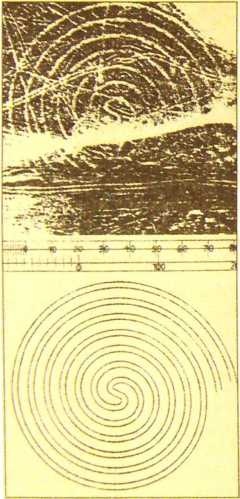 Иллюстрация к книге — Пустыня Наска. Следы иного разума [i_008.jpg]