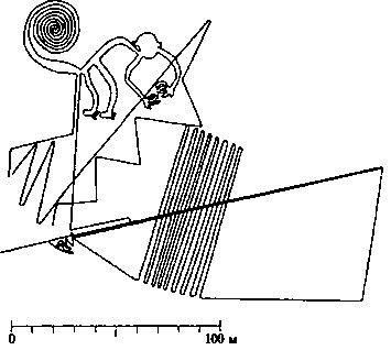 Иллюстрация к книге — Пустыня Наска. Следы иного разума [i_012.jpg]