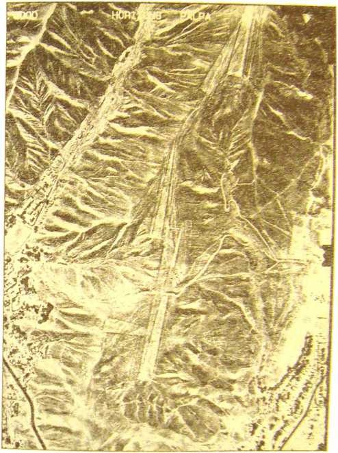 Иллюстрация к книге — Пустыня Наска. Следы иного разума [i_018.jpg]