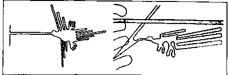 Иллюстрация к книге — Пустыня Наска. Следы иного разума [i_025.jpg]