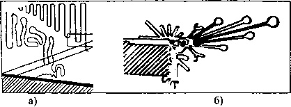 Иллюстрация к книге — Пустыня Наска. Следы иного разума [i_027.jpg]