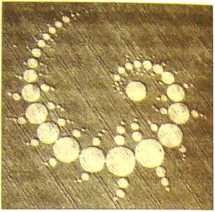 Иллюстрация к книге — Пустыня Наска. Следы иного разума [i_038.jpg]