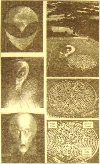 Иллюстрация к книге — Пустыня Наска. Следы иного разума [i_042.jpg]