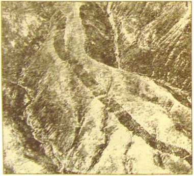 Иллюстрация к книге — Пустыня Наска. Следы иного разума [i_046.jpg]