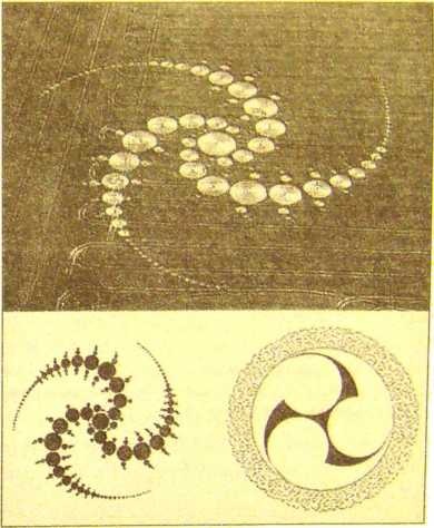 Иллюстрация к книге — Пустыня Наска. Следы иного разума [i_048.jpg]