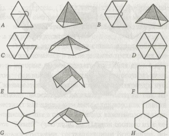 Иллюстрация к книге — Алекс в стране чисел. Необычайное путешествие в волшебный мир математики [i_030.jpg]
