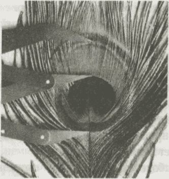 Иллюстрация к книге — Алекс в стране чисел. Необычайное путешествие в волшебный мир математики [i_125.jpg]