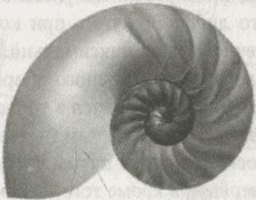 Иллюстрация к книге — Алекс в стране чисел. Необычайное путешествие в волшебный мир математики [i_127.jpg]