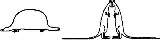 Иллюстрация к книге — Алекс в стране чисел. Необычайное путешествие в волшебный мир математики [i_144.jpg]