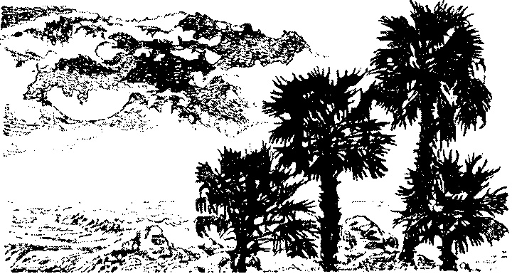 Иллюстрация к книге — Колдовская метка [i_002.jpg]