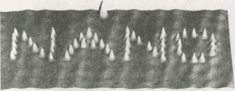 Иллюстрация к книге — Нанонауки. Невидимая революция [i_001.jpg]