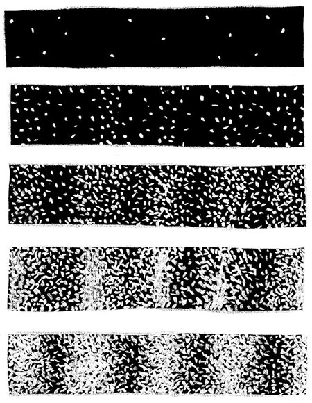 Иллюстрация к книге — О том, чего мы не можем знать. Путешествие к рубежам знаний [i_033.jpg]