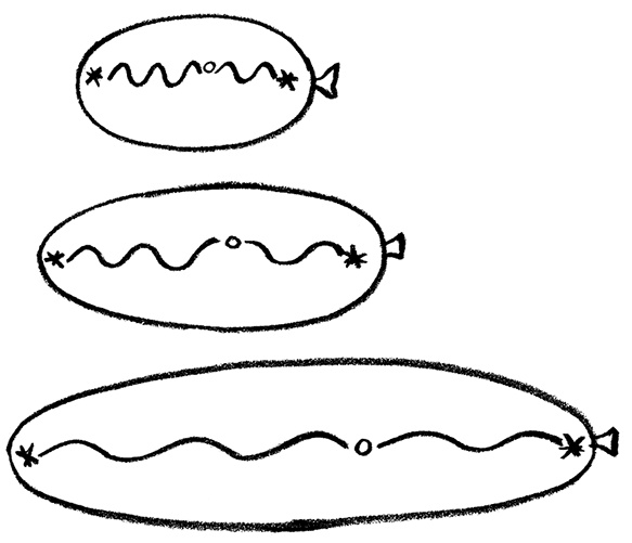 Иллюстрация к книге — О том, чего мы не можем знать. Путешествие к рубежам знаний [i_044.jpg]