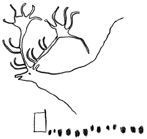 Иллюстрация к книге — О том, чего мы не можем знать. Путешествие к рубежам знаний [i_048.jpg]