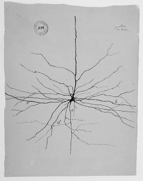 Иллюстрация к книге — О том, чего мы не можем знать. Путешествие к рубежам знаний [i_068.jpg]