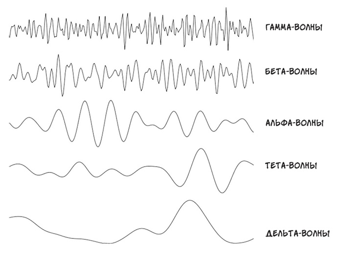 Иллюстрация к книге — О том, чего мы не можем знать. Путешествие к рубежам знаний [i_069.jpg]